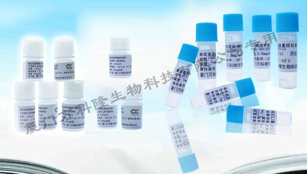 Alpha-輔肌動蛋白(ACTN4)重組抗原